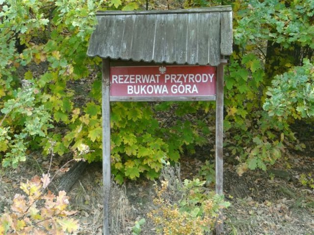 Relacje ze spotkania- pieczenie ziemniaka