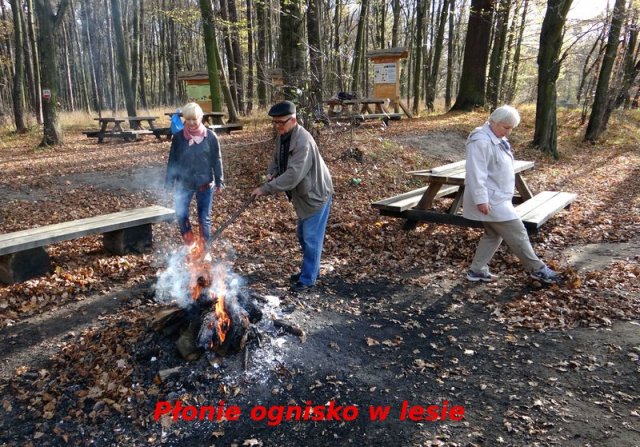 Turystyka piesza